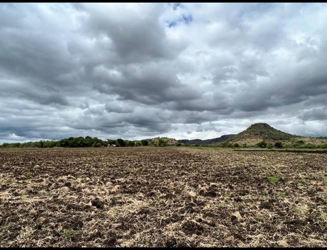 FARM FOR SALE IN ROOSSENEKAL AH